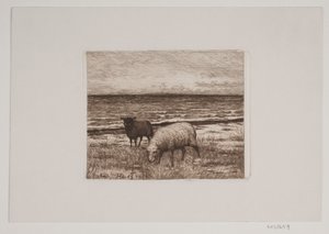 الأغنام على الشاطئ بواسطة Hans Christian Gether Caspersen
