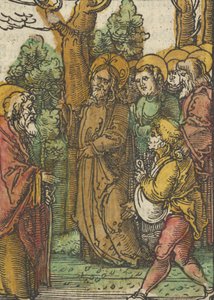 مثل الزارع والأعشاب ، من Das Plenarium ، 1517. بواسطة هانز شوفيلين الأكبر