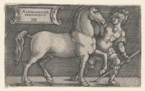 الإسكندر الأكبر Bucephalus 1531-1550 (نقش) بواسطة هانز سيبالد بهام