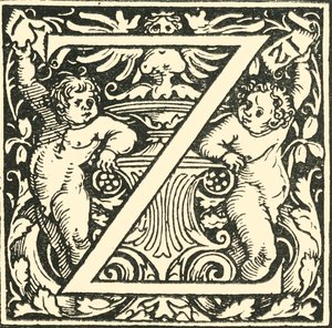 Z - الأبجدية التي كتبها هانز ويديتز ، c1520-1521 ، 1908.