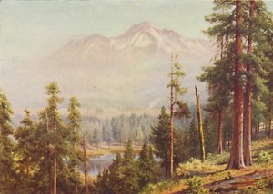 جبل شاستا ، 1916