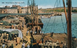 مشهد وارف ، هافانا ، كوبا ، 1910 بواسطة غير معروف