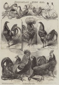 عرض برمنغهام 1858