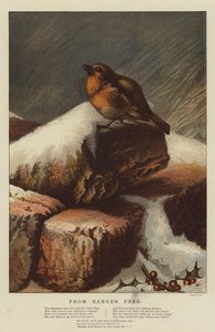 من Danger Free (chromolitho)
