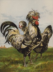 Houdans (chromolitho) بواسطة هاريسون ويليام وير