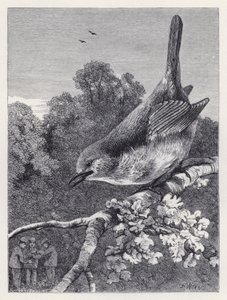 The Robin Watching the Boys with the Nest (engraving) بواسطة هاريسون ويليام وير