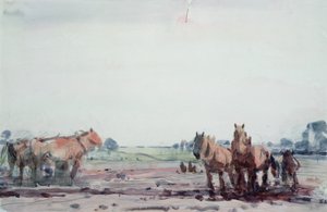 الخيول المحراث