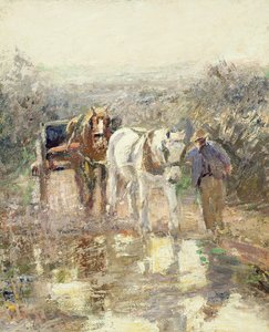 الخيول والعربة
