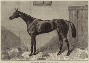 Fille de l&39;Air ، الفائز في The Oaks لعام 1864