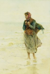 "موجة صاعدة ، وجتسم ، و Flotsam": تجمع عشب بحري صغير على حافة المياه ،