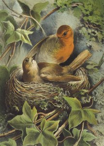 روبن وعش (chromolitho) بواسطة هيكتور جياكوميلي