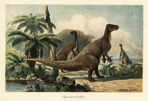 Iguanodon bernissartensis في غابة سرخس ما قبل التاريخ.