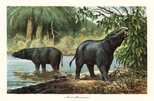 Moeritherium ، جنس منقرض من خرطوم العصر الأيوسيني. ، 1908 (طباعة)