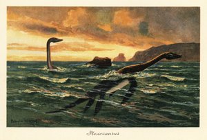 Plesiosaurus dolichodeirus في المحيط.
