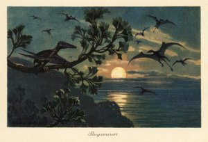 Rhamphorhynchus التيروصورات تحلق في ضوء القمر.