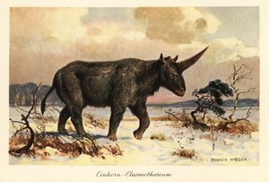 وحيد القرن السيبيري ، Elasmotherium sibiricum ، على سهل ثلجي.