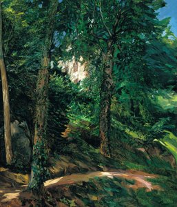 أراضي القلعة في Lichtenberg في Odenwald ، 1900
