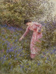 جمع Bluebells (مرحاض مع لون الجسم على الورق) بواسطة هيلين ألينجهام