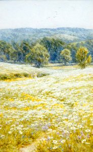 Oxeye Daisies ، بالقرب من ويسترهام ، كنت (ألوان مائية على ورق) بواسطة هيلين ألينجهام