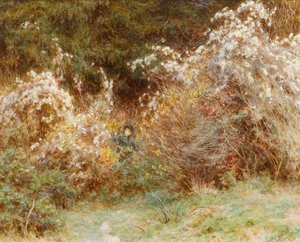 فرحة المسافرين: Surrey Hedgerow (مرحاض على ورق) بواسطة هيلين ألينجهام