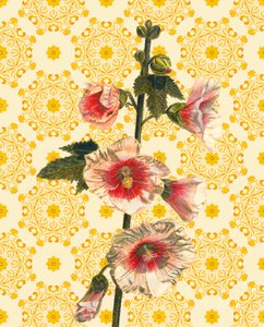 Hollyhocks on Sunshine ، 2021 (ألوان مائية) بواسطة هيلين وايت