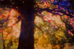 تحت Spreading Oak ، 2019 بواسطة هيلين وايت