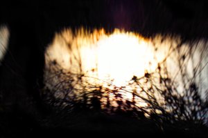 نسيج الماء II ، 2017 ، (التصوير الفوتوغرافي المعالج)