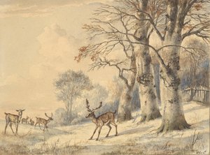 الغزلان تحت أشجار الزان في الصيف ، 1853.