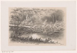 شجرة سقطت بعد عاصفة 28 مايو 1860 بركة (العنوان على الكائن) ألبوم من عشرة رسومات مطبوعة بالحجر ، تصور تونيلين فان دي فيروستينج ، المتضررة من عاصفة 28 مايو 1860 في جرافينهاغسشي بوش ، في شيفينينغن ، إلخ (
