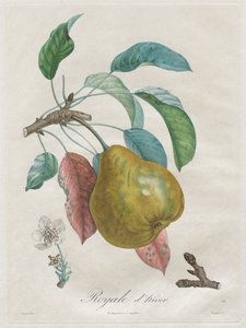 رسالة حول أشجار الفاكهة: ضريح ملكي ، 1808-1835.