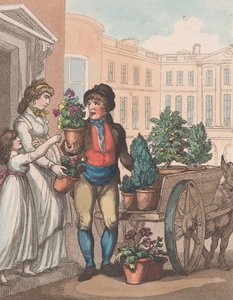 صرخات لندن ، رقم 6: كلها متنامية ، ها هي الزهور ، 1 مارس 1799.