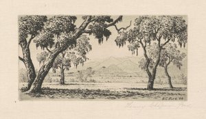 المناظر الطبيعية في كاليفورنيا ، 1888. بواسطة هنري تشابمان فورد