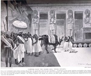قمبيز يذبح الثور المقدس ، التوضيح من "تاريخ الأمم في هاتشينسون" ، ج .1910 بواسطة هنري تشارلز سيبينجز رايت