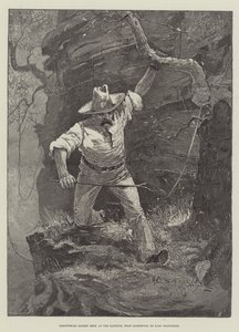 اكتشاف مأدبة الشعاب المرجانية ، في المكتب ، بالقرب من Barberton ، Cape Goldfields