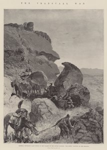 حرب الترانسفال