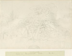 حديقة بيوديزرت: الرسم بقلم الرصاص ، [1788-1855] بواسطة هنري كرزون ألبورت