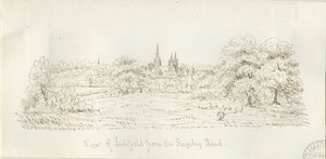 Lichfield - North View (بعيد): الرسم بالقلم ، و [1788-1855] (رسم) بواسطة هنري كرزون ألبورت