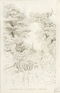 كاتدرائية ليتشفيلد - المنظر الجنوبي الشرقي (بعيد): الرسم بالقلم ، و [القرن التاسع عشر] (رسم) بواسطة هنري كرزون ألبورت