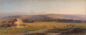 مراعي ساوث داونز ، 1867