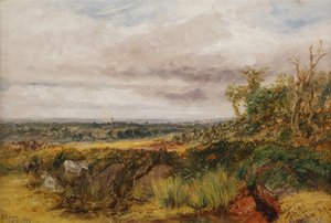 المناظر الطبيعية ، 1856