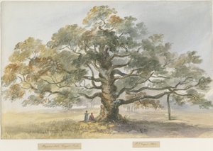 بليثفيلد - بلوك بيغار: لوحة ألوان مائية ، 1844 بواسطة هنري جيمس نويز