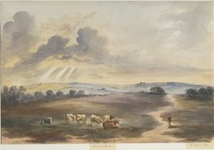 كانوك تشيس - "هيث": لوحة ألوان مائية ، 1844 بواسطة هنري جيمس نويز