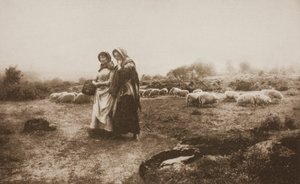 كارولينج
