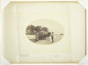 على منحدرات كادر إدريس ، آخر حمولة من القش ، 1883.
