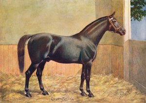 يوركشاير مدرب الحصان فحل ولي العهد ، 1902 c1910 بواسطة هنري باول بالفري