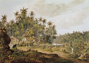 منظر بالقرب من بوينت دو جالي ، سيلان ، محفور بدانييل هافيل (1785-1826) نُشر عام 1809 بواسطة هنري سالت