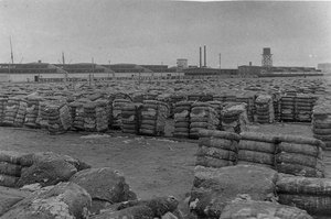 ضغط مودي ، جالفيستون (صورة بالأبيض والأسود) بواسطة هنري ستارك