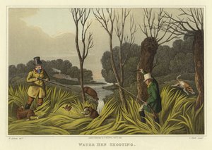 تصوير دجاجة الماء (chromolitho) بواسطة هنري توماس الكين