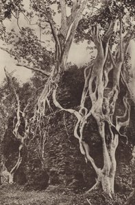 مدن سيلان المدمرة: كوتوا (b / w photo)
