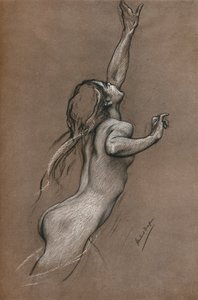 دراسة الأسماك الطائرة ، c1910